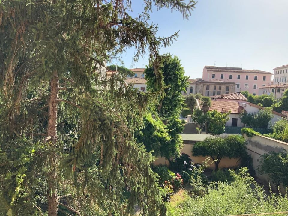 Spring, Natural landscape, Garden