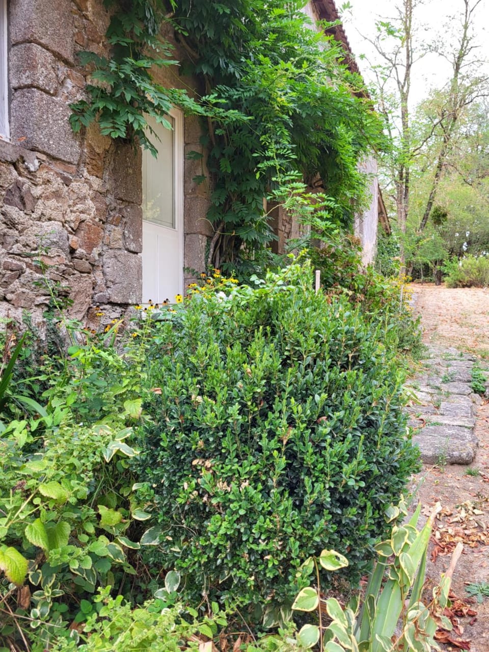 Le Prieuré Saint Blaise Bed and Breakfast in Pays de la Loire