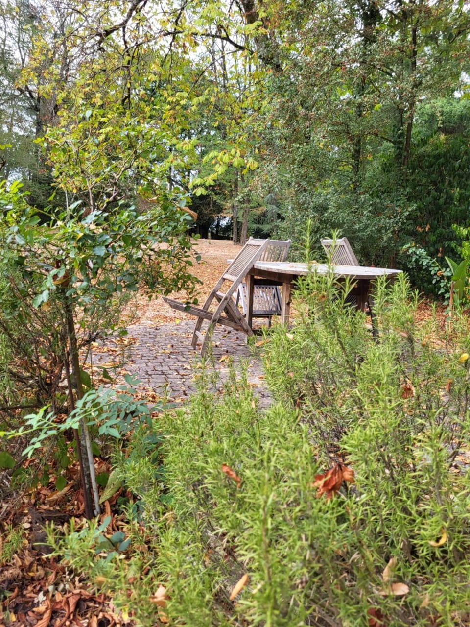 Le Prieuré Saint Blaise Bed and Breakfast in Pays de la Loire