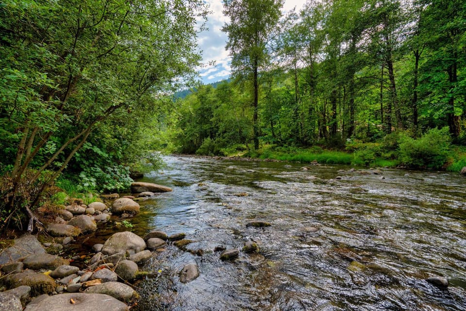 Riverfront Getaway - Dogs Welcome - Sleeps 4 House in Welches