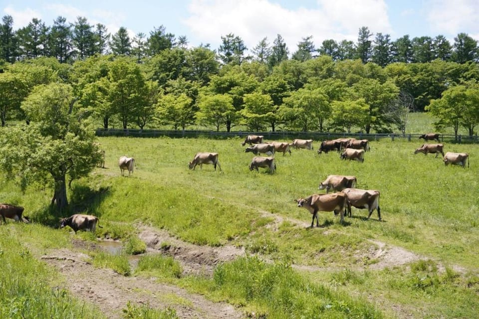Farm Stay Chiyoda-Tenger Apartment in Hokkaido Prefecture