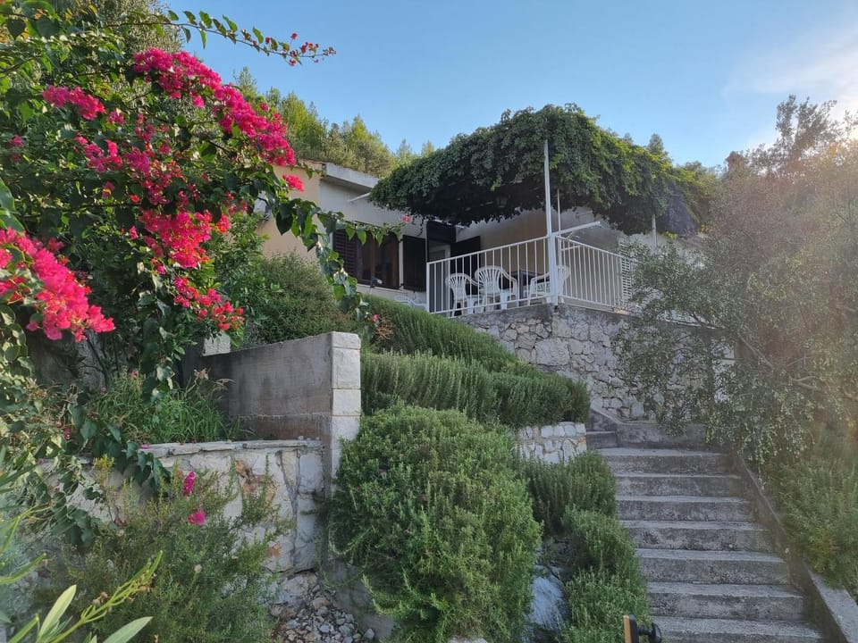 Property building, Garden, Balcony/Terrace