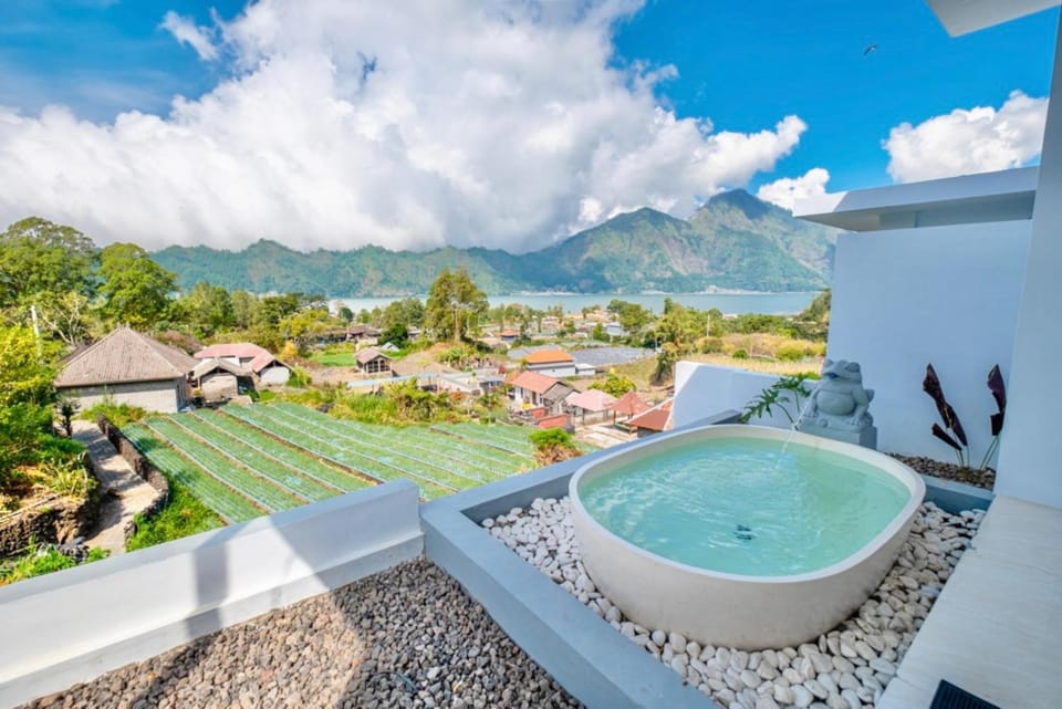 Natural landscape, Garden, Garden view, Pool view