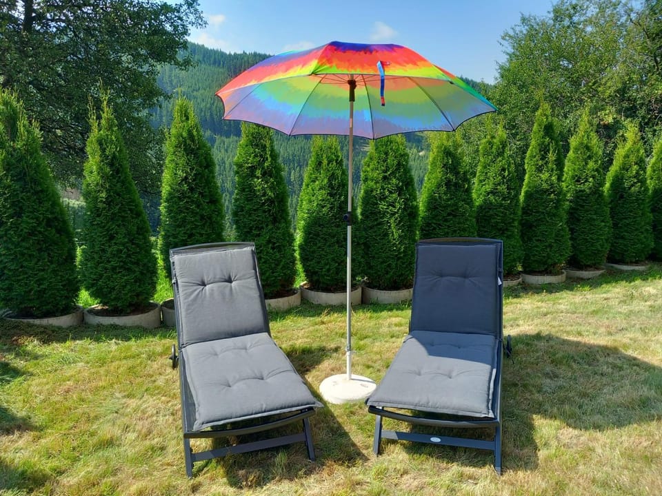 Spring, Day, Natural landscape, Garden, Garden view, sunbed