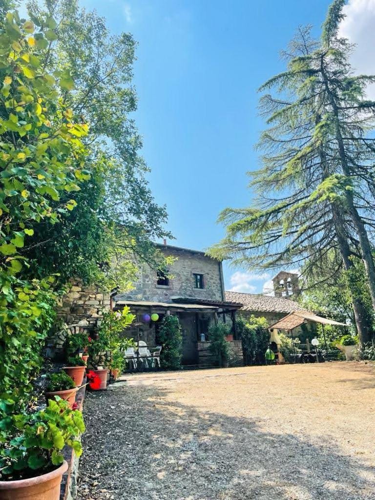 Facade/entrance, Garden