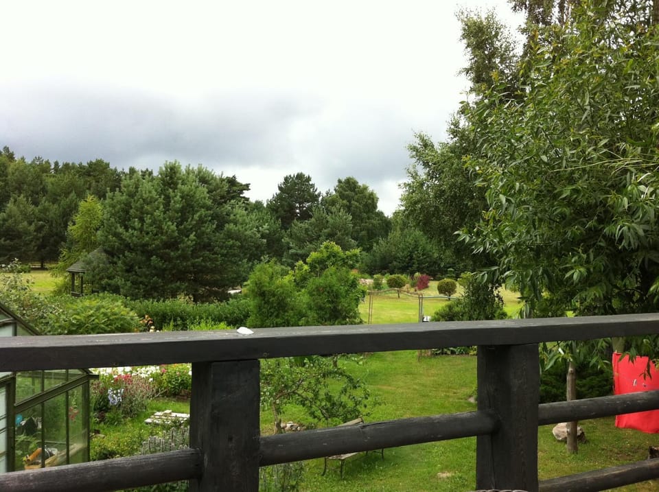Garden view