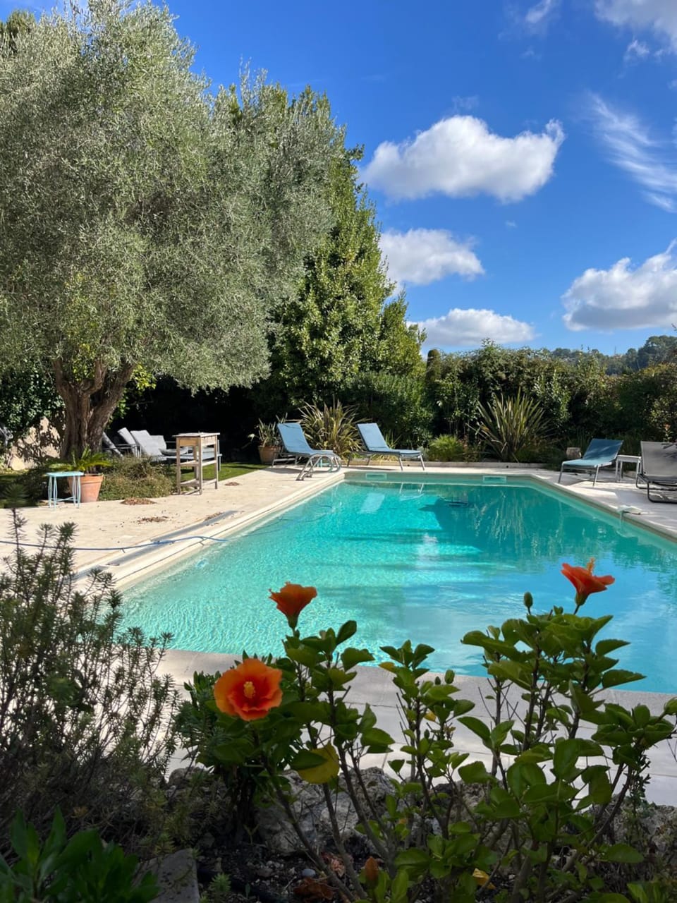 Pool view, Swimming pool