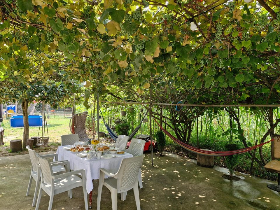 Garden, Dining area