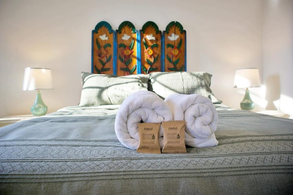 Stylish Art Déco Mexican House with rooftop Apartment in Guadalajara