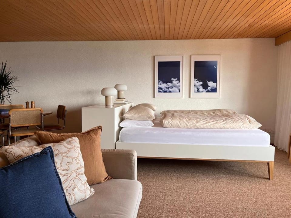 Amazing Lake Views-Cozy Retreat-King Bed Apartment in Canton of Bern (Region)