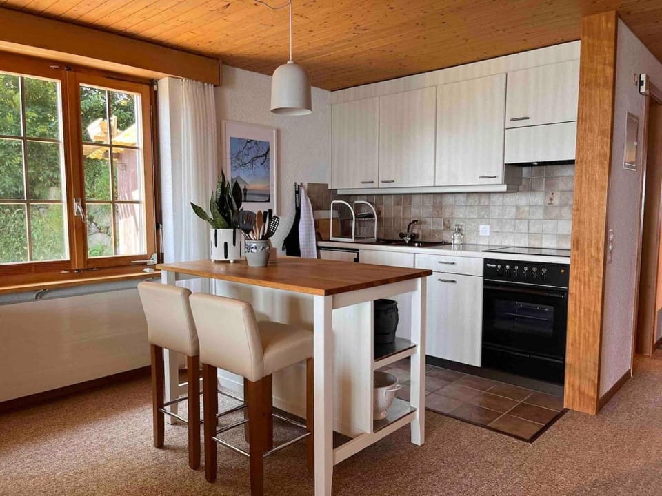 Amazing Lake Views-Cozy Retreat-King Bed Apartment in Canton of Bern (Region)