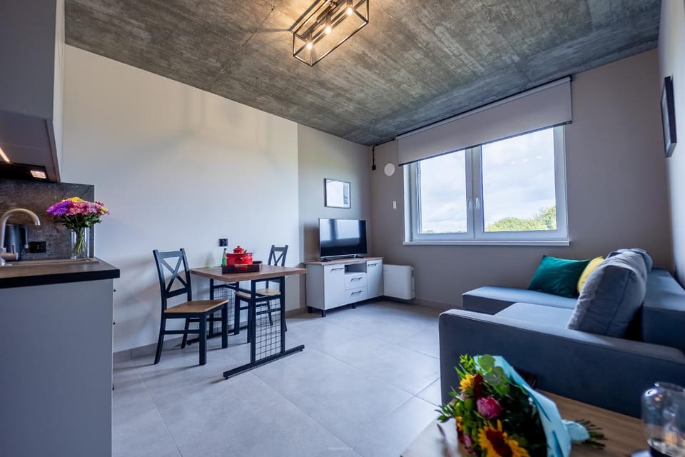 Bed, TV and multimedia, Kitchen or kitchenette