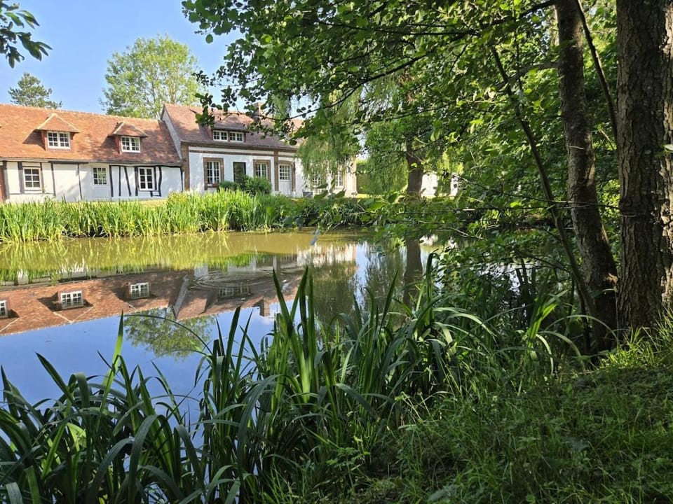 Day, Natural landscape, Garden, Garden view, Lake view, River view