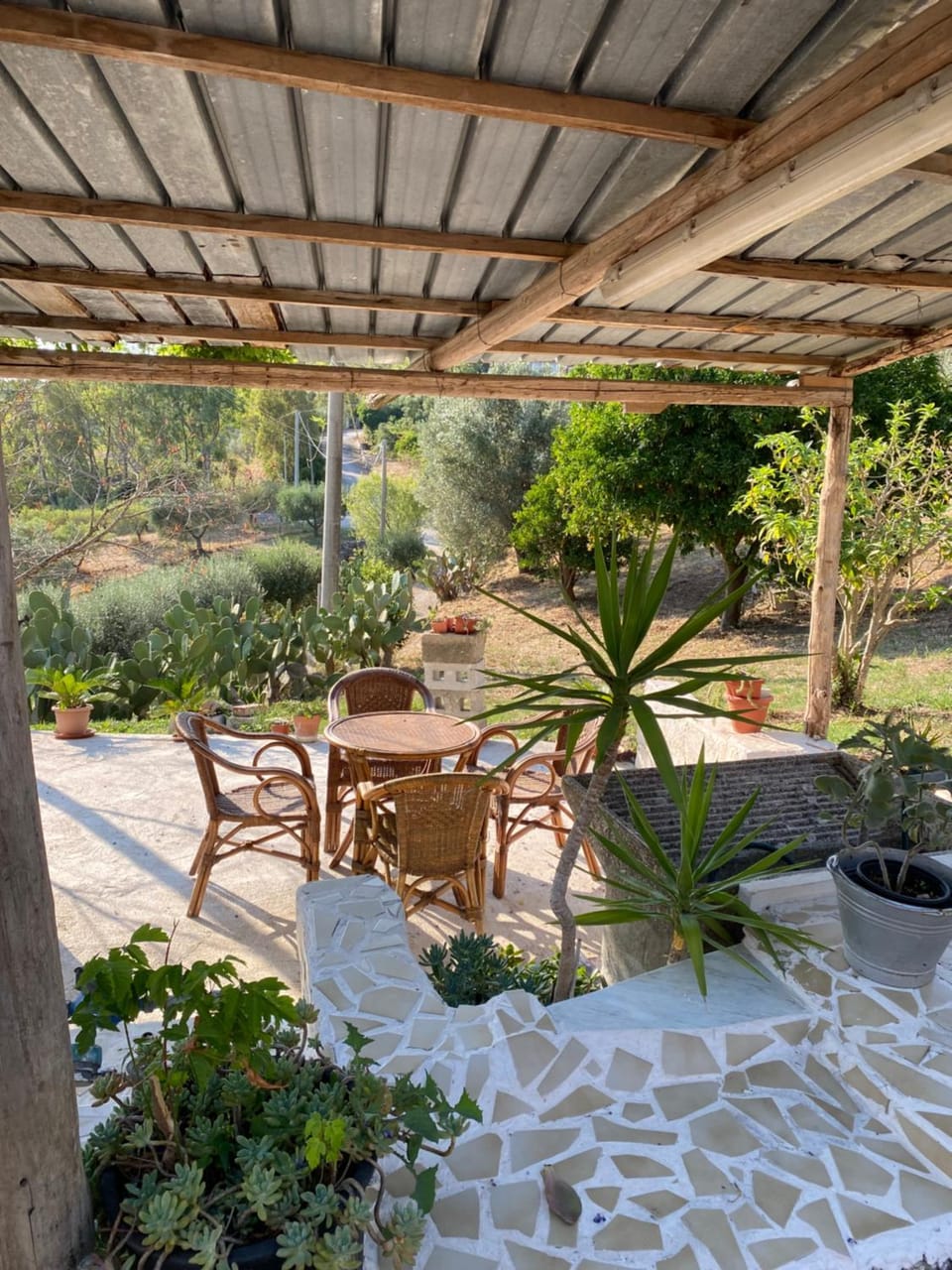 Garden view