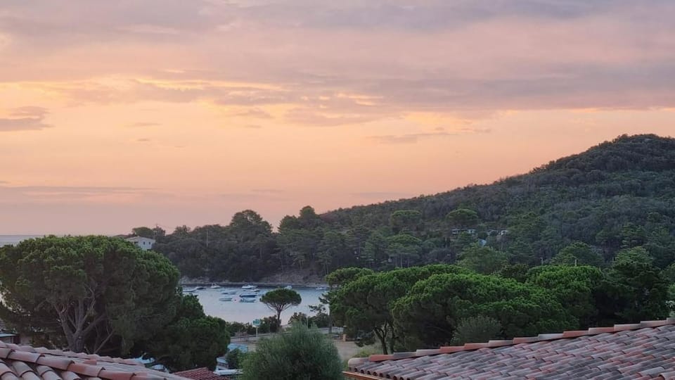 Appartement Carpe diem vue mer plage à pied Apartment in Sari-Solenzara
