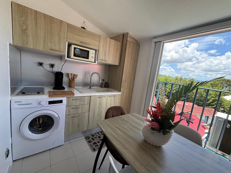 View (from property/room), Balcony/Terrace, Kitchen or kitchenette, Dining area, oven, stove, washing machine