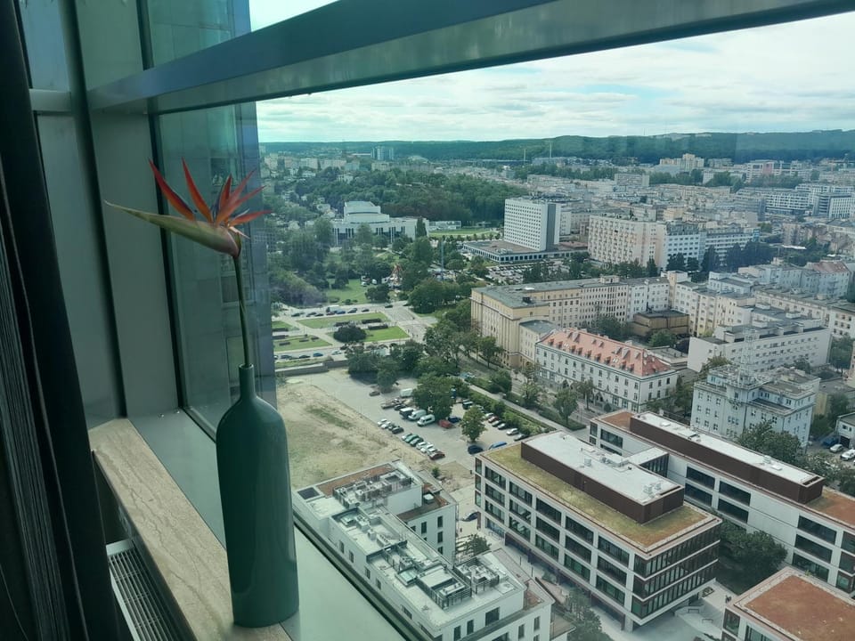 Day, Neighbourhood, Bird's eye view, View (from property/room), City view, Street view