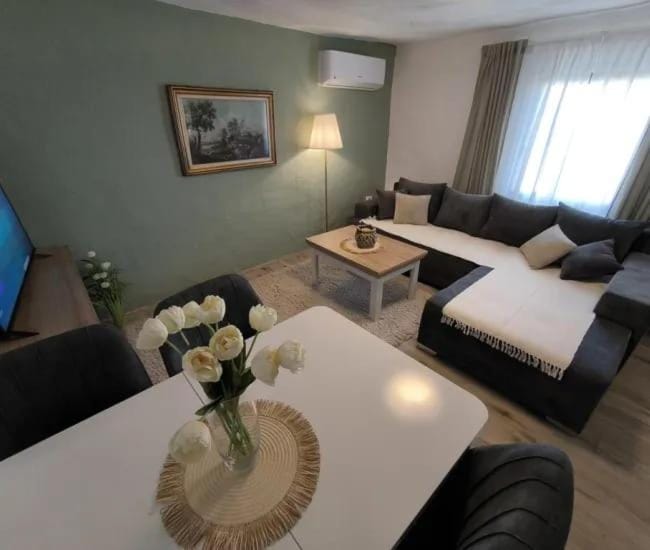 Apartmani Etno Selo Americ Apartment in Serbia