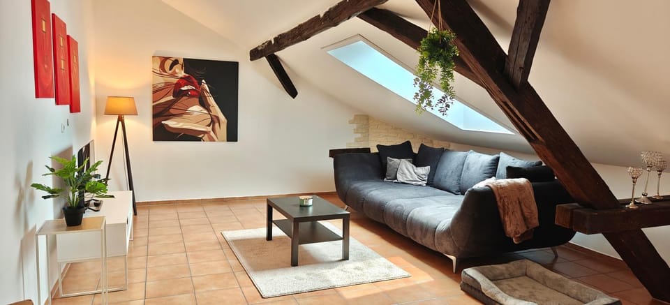 TV and multimedia, Living room, Animals, Pets