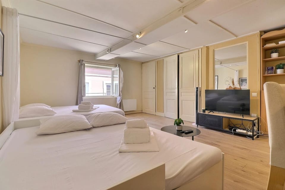 Large studio - hyper downtown - 4 people Apartment in Lyon