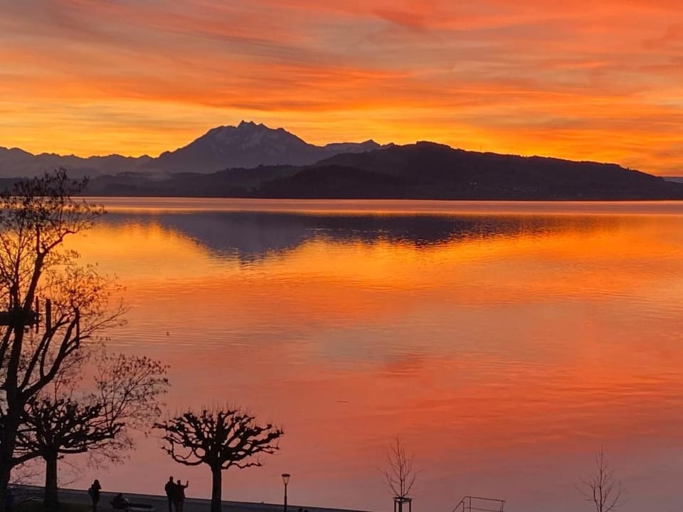 Stylish Room and private bathroom in lakefront apartment Vacation rental in Zug