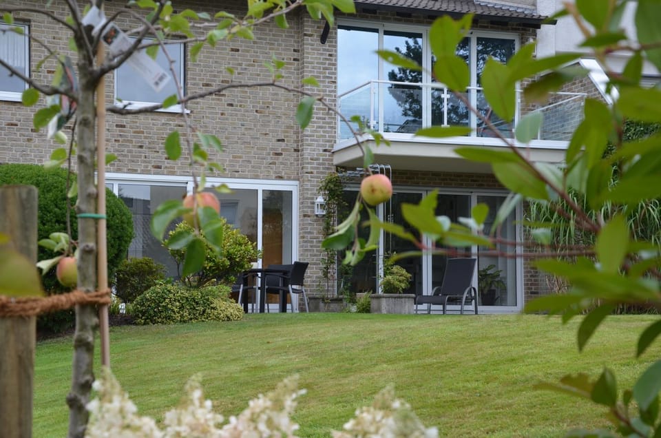 Property building, Garden, Garden view, sunbed