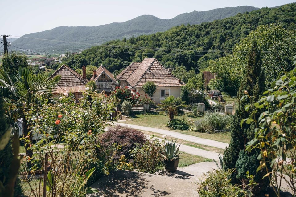 Garden, Street view