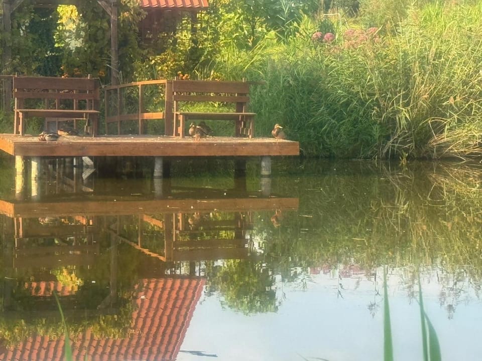 Fishing, Garden, View (from property/room), Garden view