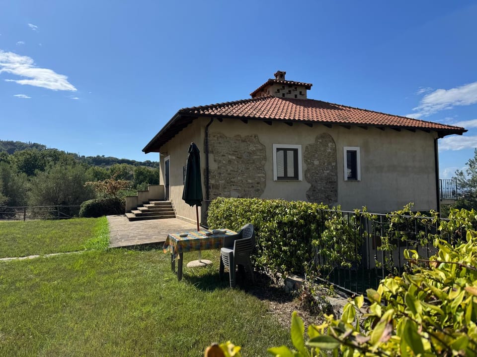 Day, Garden, Garden view