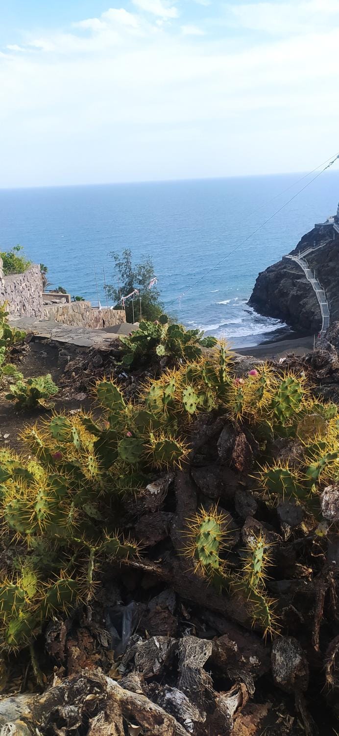 Nearby landmark, Natural landscape