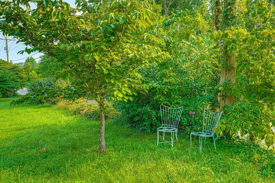 2 Mi to Hiking Trails: Cozy Fayetteville Cottage! House in West Virginia