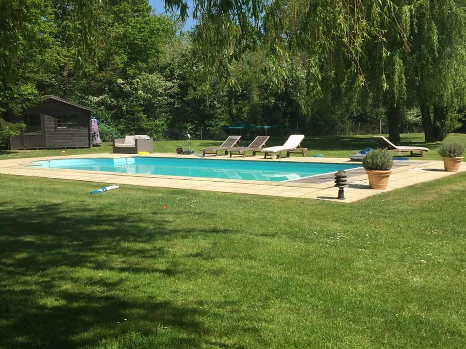 Natural landscape, Garden view, Pool view, Swimming pool, sunbed