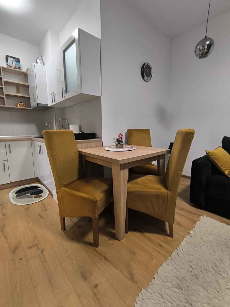 Apartman Jelena AS Apartment in Serbia