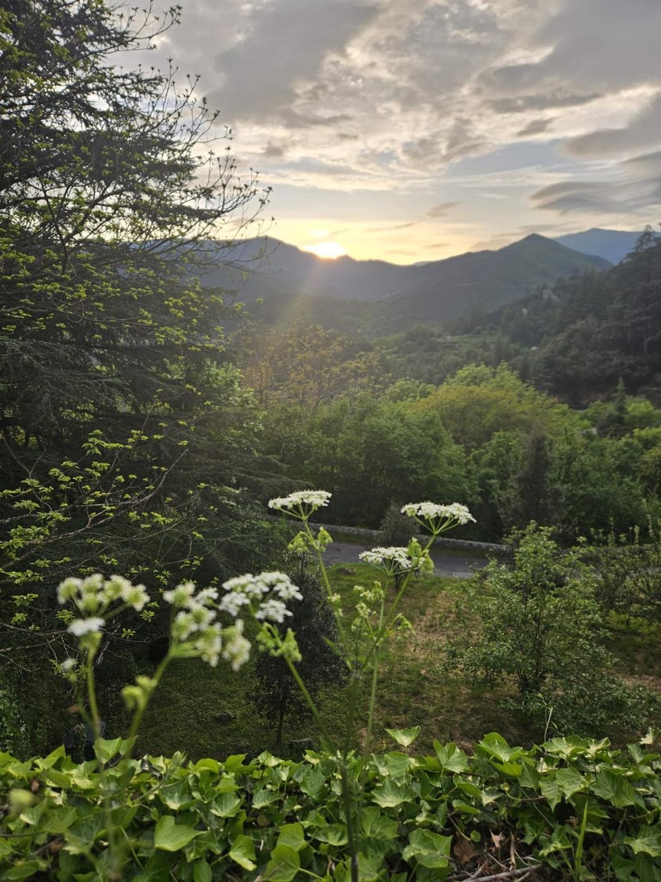 Natural landscape, Mountain view