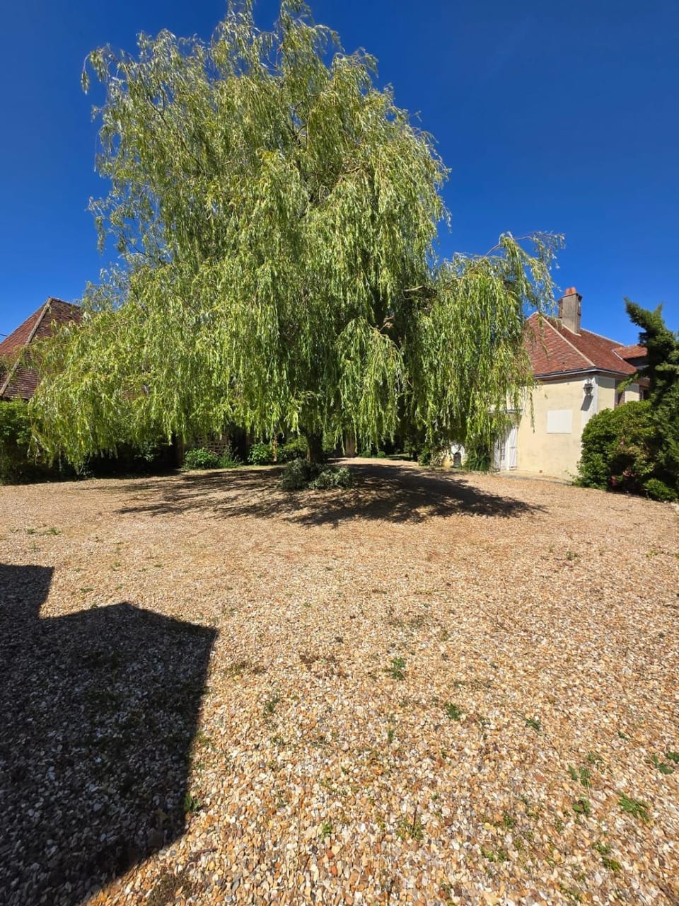 Spring, Day, Natural landscape, Garden, Garden view