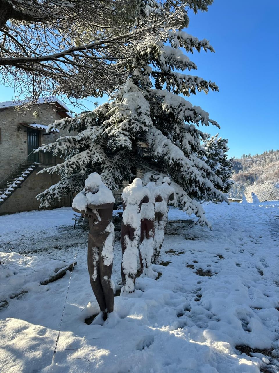 Day, Natural landscape, Winter