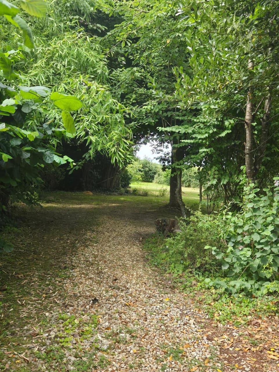 Day, Natural landscape, Garden view