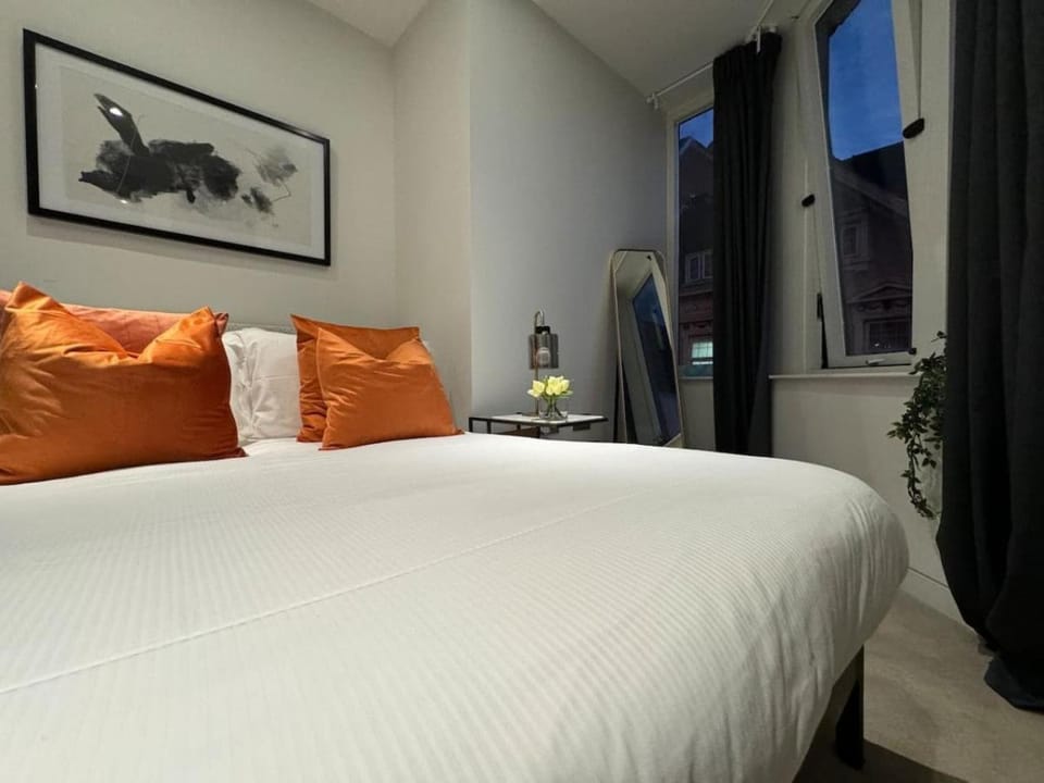 Stunning Reading Centre Apt - 1BR, 1 BA - F14 Apartment in Reading