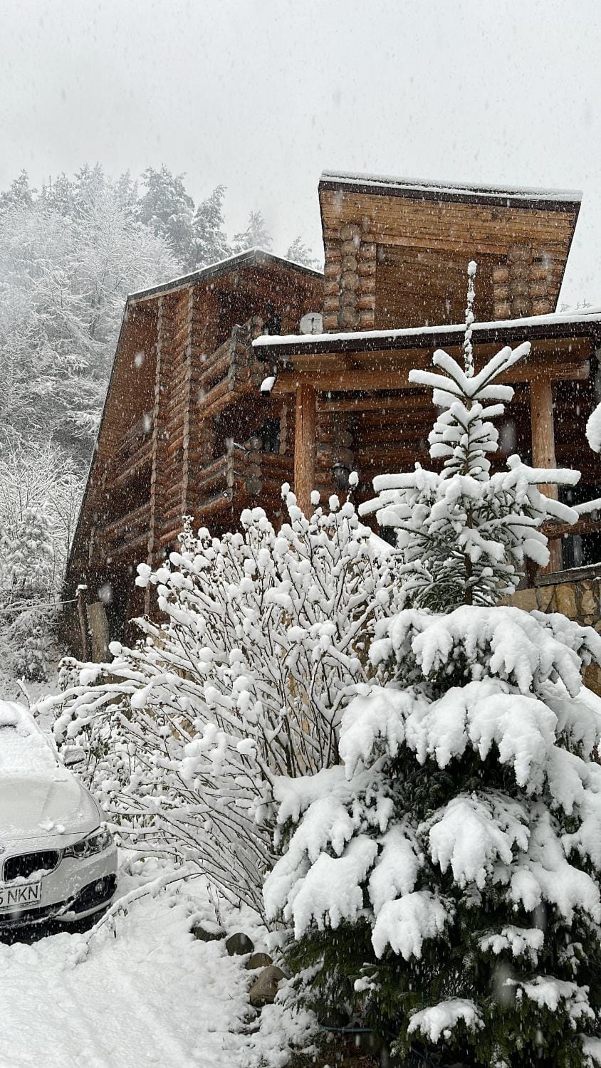 Property building, Natural landscape, Winter