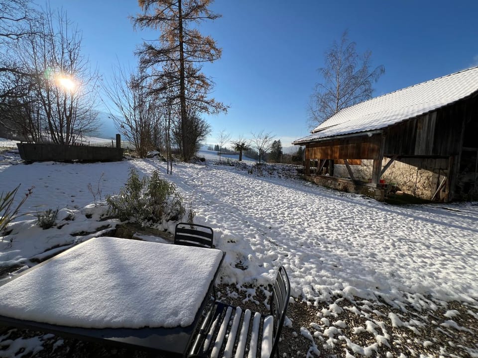 Winter, View (from property/room)