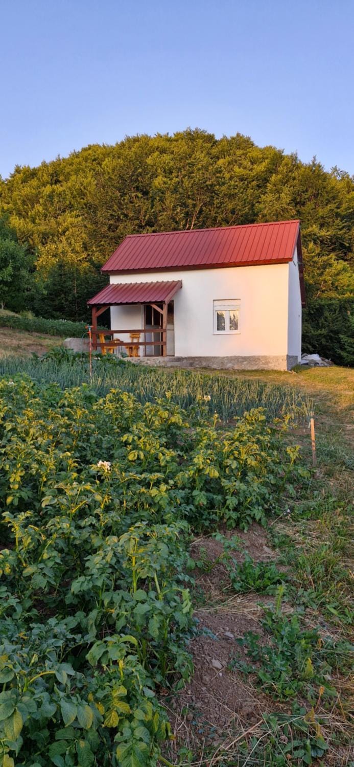 Village House House in Podgorica Municipality, Montenegro
