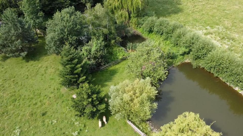Bird's eye view, Lake view