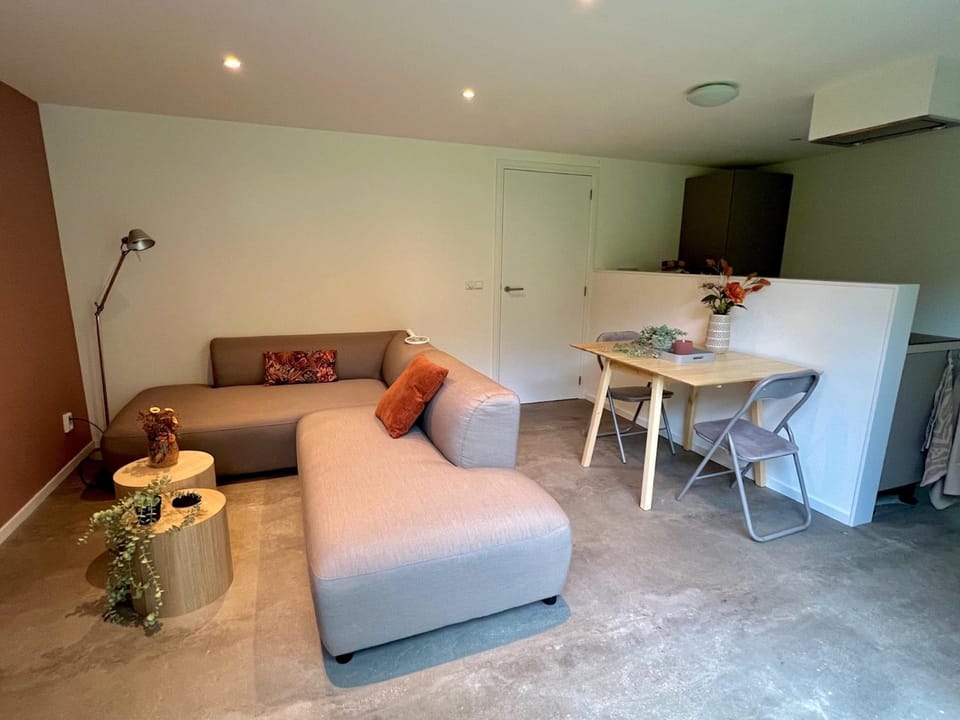 Kitchen or kitchenette, Living room, Seating area, Dining area