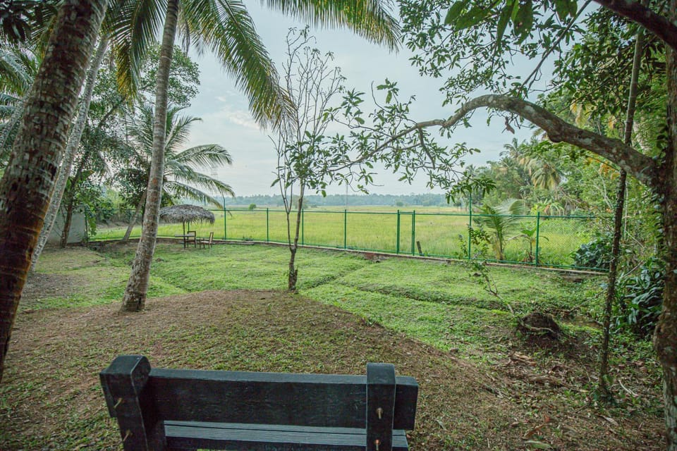 Natural landscape, Garden, Garden view