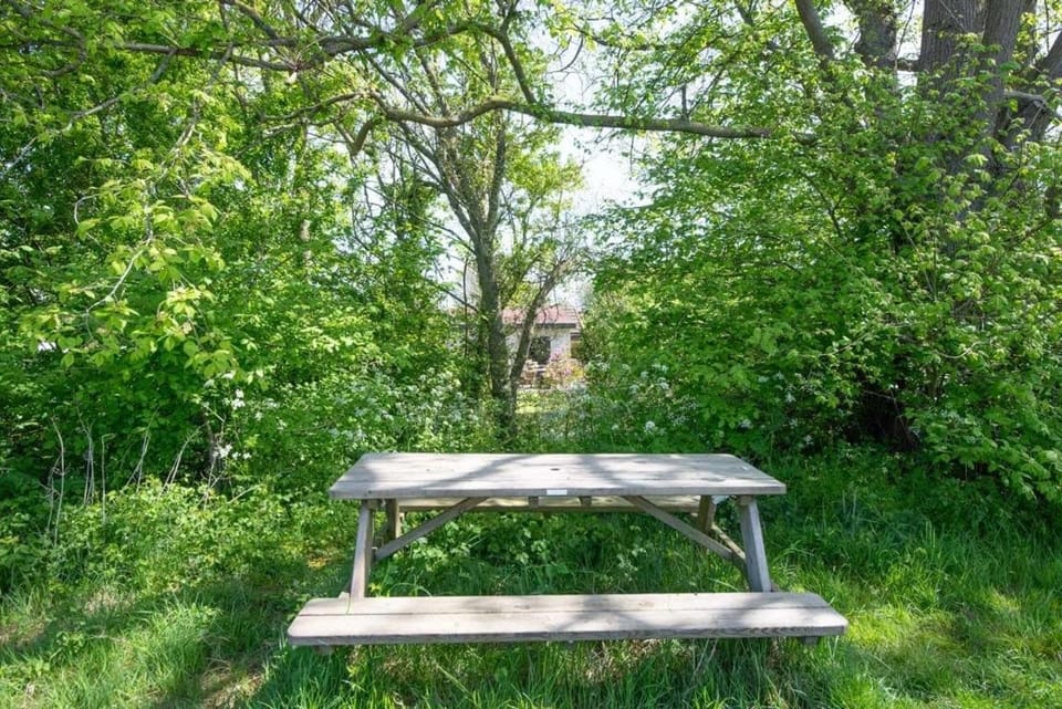 Natural landscape, Garden, Garden view