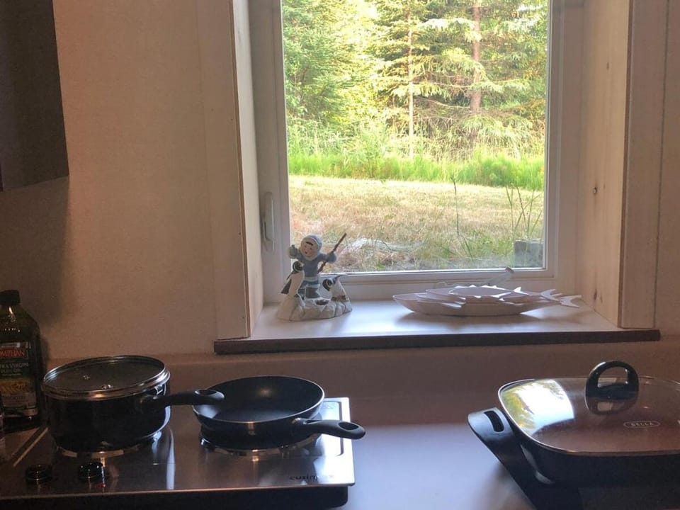 LAKE FRONT fishing between Kasilof & Kenai river Apartment in Alaska