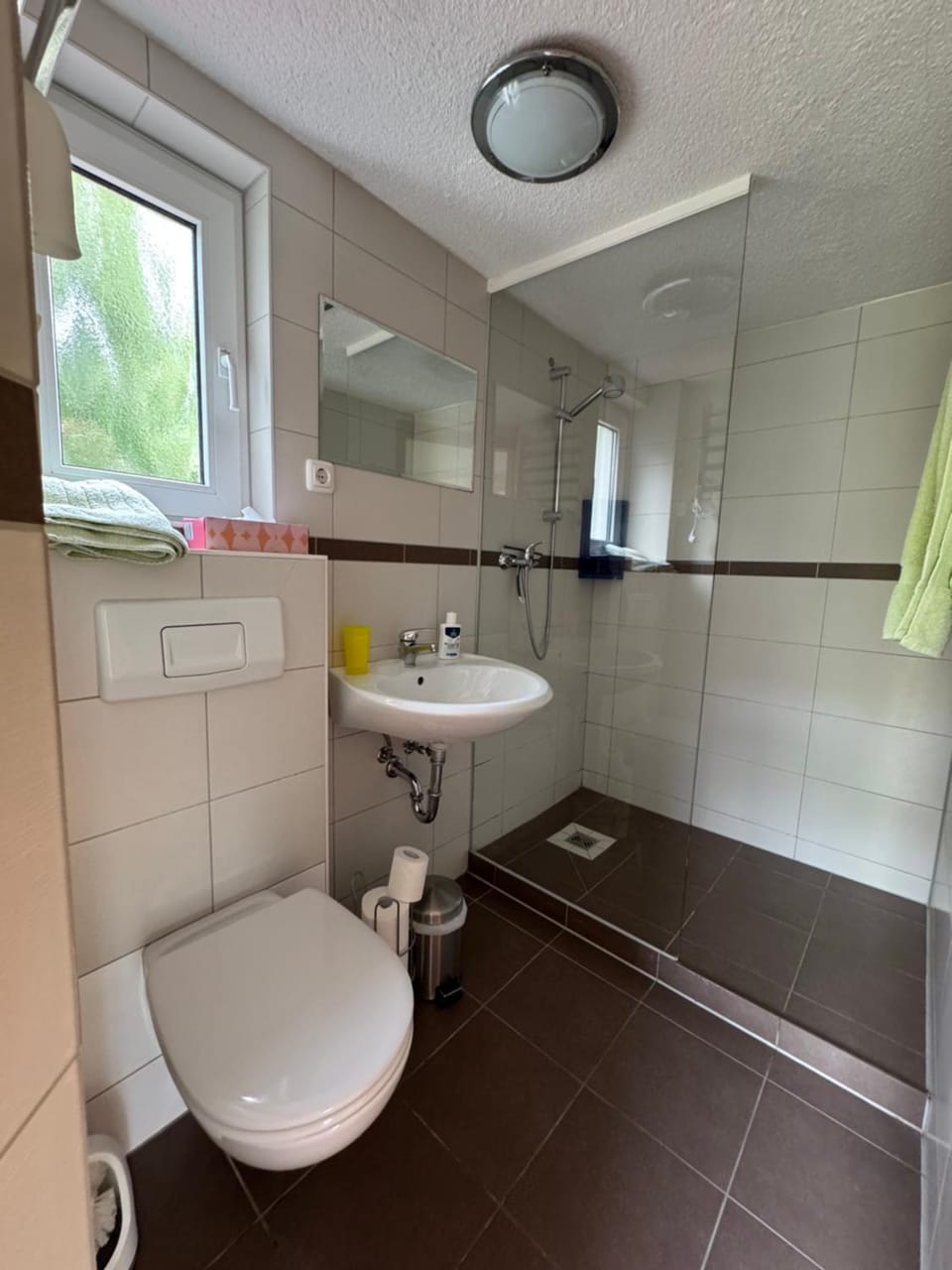 Shower, Toilet, Bathroom