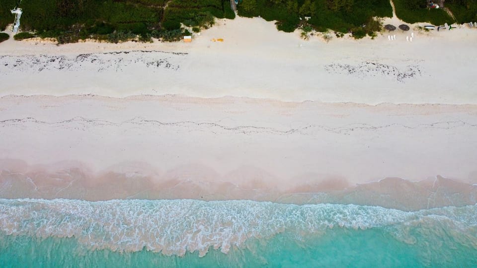 Hibiscus Hill Guest House - Elegant Garden Oasis, Pink Sand Bch home House in North Eleuthera