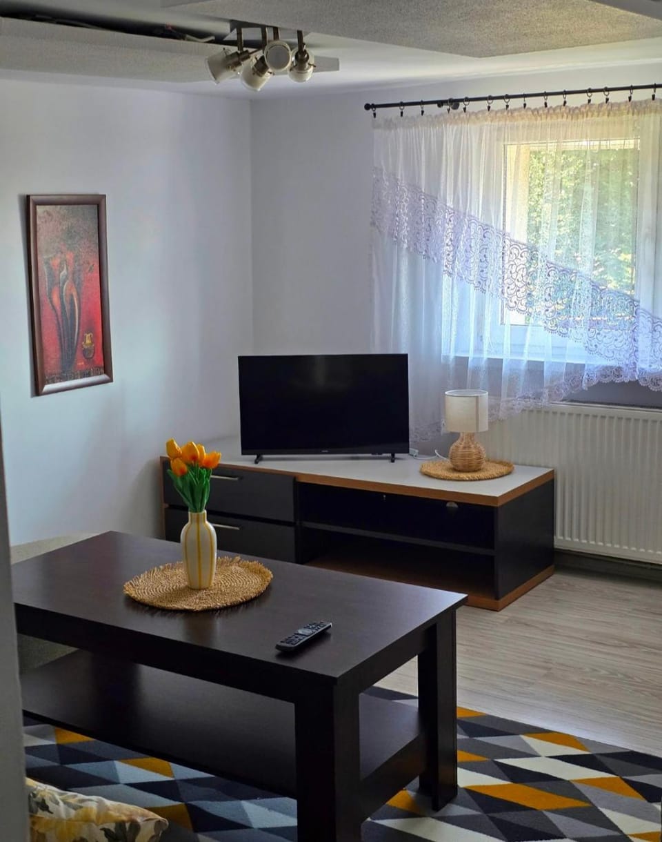 Cytrynowy zakątek Apartment in Czechia