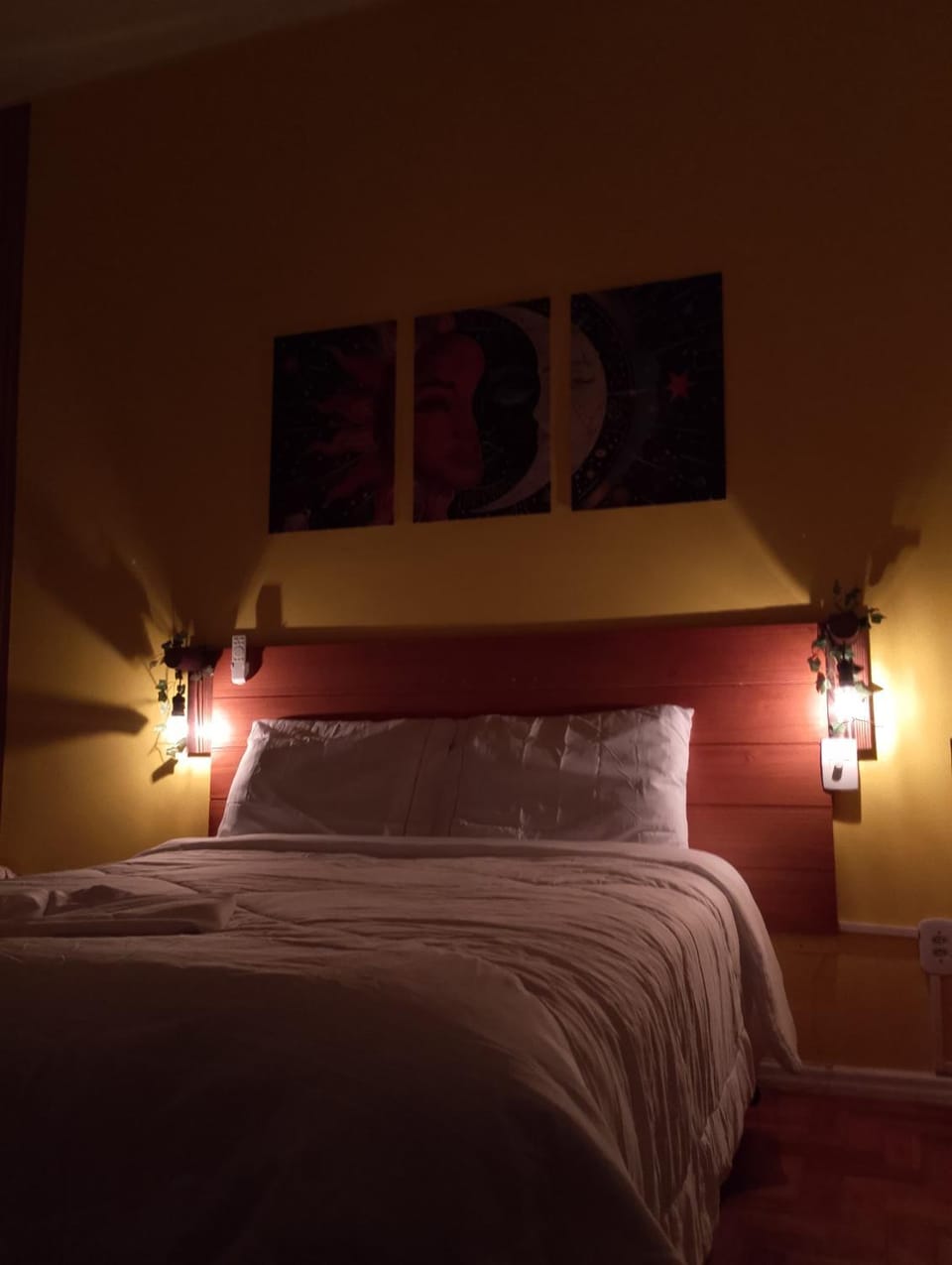 Cozy Soul of Lapa Apartment in Santa Teresa